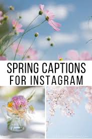 22 Cute Spring Instagram Captions And Quotes For Instagram Ask For Adventure In 2020 Instagram Captions Flower Captions For Instagram Cute Instagram Captions
