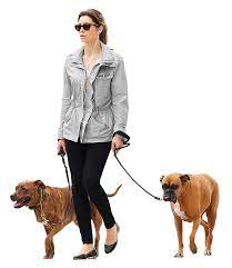 Woman Dogs Gray People Png Render People People Cutout