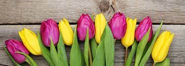 Check spelling or type a new query. Vero Beach Florist Vero Beach Fl Vatland Chrysler Dodge Jeep