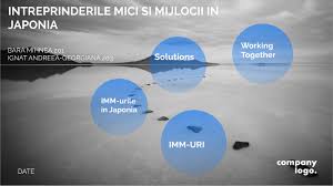 E foarte probabil ca unele intreprinderi mici si mijlocii sa nu urmeze toate etapele de mai sus sau sa includa in cadrul unui singur stadiu doua sau mai multe etape, dezvoltarea lor putand prezenta multe particularitati datorita influentei factorilor interni si externi. Intreprinderile Mici Si Mijlocii In Japonia By Andreea Ignat