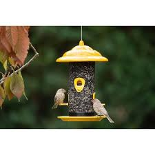 We did not find results for: Metal Bird Baths Bird Feeders Target