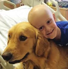 THE UNSTOPPABLE FIONA ASHE