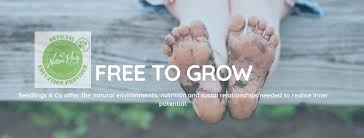 Seedlings Co Calamvale Child Care Service Brisbane Queensland Australia Facebook 485 Photos