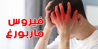 لماذا تحذر وزارة التربية والتعليم من مرض «ماربورج»؟   وما سر الخطاب العاجل إلى المدارس؟