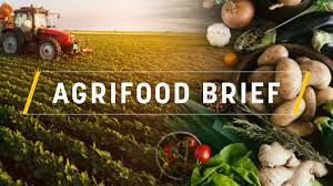 Intensive Farming French Court Ruling And Sugar Tax Euractiv Com