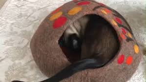 Check out our felt cat cave selection for the very best in unique or custom, handmade pieces from our зоотовары shops. Cat Caves Online Pet Supplies Hobart Tasmania Facebook 156 Photos