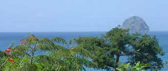 Check spelling or type a new query. Martinique Oder Guadeloupe Welche Insel Fur Einen Aufenthalt Auf Den Antillen
