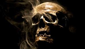 Search more hd transparent skeleton head image on kindpng. Human Skull Wallpapers Top Free Human Skull Backgrounds Wallpaperaccess
