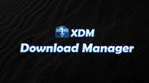 Install Xdm The Internet Download Manager For Linux Mint 20 Ulyana Youtube