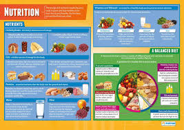 Nutrition Pe Posters Gloss Paper Measuring 850mm X 594mm A1 Physical Education Charts For The Classroom Education Charts By Daydream