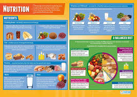 nutrition pe posters gloss paper measuring 850mm x 594mm a1 physical education charts for the classroom education charts by daydream