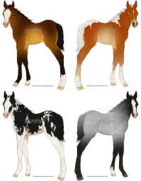 Credit To Artist Horse Animation Horse Art Horse Drawings