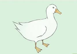 Daftar isi langkah cara gambar bebek dari angka 2 cara menggambar anak bebek nah, untuk kamu yang ingin belajar cara menggambar bebek dengan mudah dan cepat, kamu. Sketsa Bebek Dan Cara Menggambarnya Mudah Banget