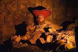 Pirates Of The Caribbean Pigs Disney World Pirates Of The Caribbean Walt Disney World