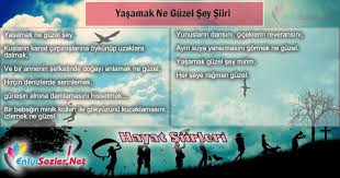 Yaşamak güzel şey be kardeşim. Hayat Siirleri En Iyi Sozler Ve Blog Sitesi