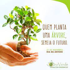 A entrada de saboia e portugal na grande aliança em 1703 favoreceram as investidas da áustria sobre os domínios espanhóis. Plantar Uma Arvore E Cuidar Ouro Verde Produtos Organicos ÙÙŠØ³Ø¨ÙˆÙƒ