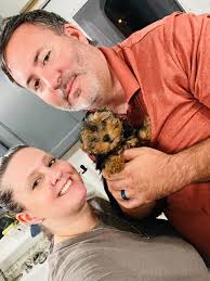 Florida Yorkies of Island Lake