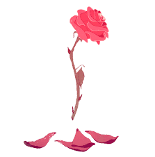120 animated images of burning flames in all manifestations and situations. Transparent Flower Animated Gif Novocom Top
