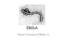 Maybe you would like to learn more about one of these? Virus De Marburgo Marburgo 1 Indice 2 Que Es Causas Y Consecuencias Brotes Transmision Signos Y Sintomas Datos Y Cifras Diagnostico Tratamiento Ppt Descargar