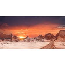 Image result for Terrarium Cling Background