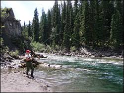 Fly Fishing The Highwood River In Alberta Guided Trips