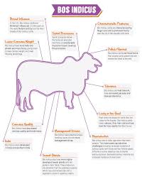 404 Page Not Found Error Ever Feel Like You Re In The Wrong Place Cattle Beef Cattle Animal Science