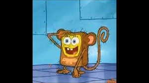 Spongebob faces funny spongebob memes cartoon memes cartoons all meme stupid funny memes funny relatable memes hilarious funny troll. 24 Spongebob Memes Faces Factory Memes