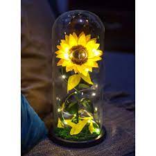 It is soft in touch like these preserved roses in the shade turquoise are very popular among hotel designers, florists and purple rose in glass dome. Preserved Sunflower In Glass Dome Shopee Philippines