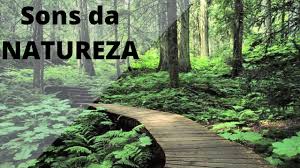 Arquivos de música premium, escolhidos a dedo e de alta qualidade, ideais para qualquer gênero. Pin Em Musicas Relaxantes