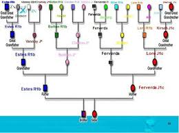Dna Pedigree Interesting Article On The Dna Testing And