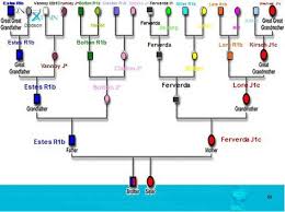 Dna Pedigree Interesting Article On The Dna Testing And