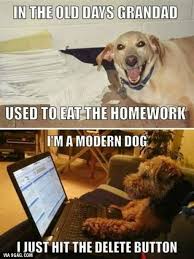 Dog Humor Old New School Funny Dog Memes Dog Jokes Funny Dog Pictures