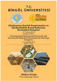 PDF) Bingöl Üniversitesi Pilot Üniversite Koordinasyon Merkez Birimi