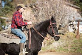 One of the members of the famous kilcher family, etienne kilcher, belongs to the new generation. Alaska The Last Frontier Cast 2017 Kilchers Family Season 7 Heavy Com
