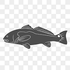 Maybe you would like to learn more about one of these? Gambar Logo Ikan Png Vektor Psd Dan Clipart Dengan Latar Belakang Transparan Untuk Download Gratis Pngtree