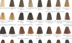 Fanciful Hair Color Limited Chart Hi Rinse Roux Temporary