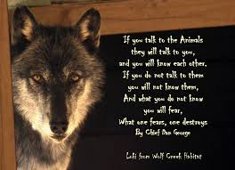 Chief Dan George Photo Watch Any News Broadcast Or Pickup A Newspaper If You Doubt This Truth Chief Dan George Wolf Quotes Photo Quotes