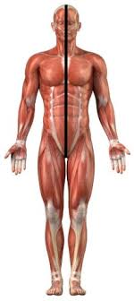 We did not find results for: Pressure Point Fighting Reality Based Self Defense You Can Trust Contemporary Fighting Arts