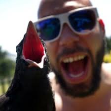 Stream Ray Underwood music