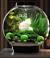 Moss Ball Terrarium