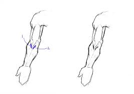 Learn To Draw Arms Once And For All Gvaat S Workshop How to draw the female form, a tutorial by carlos gomes cabral. learn to draw arms once and for all