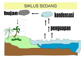 Susu evaporasi adalah susu sapi yang 60 persen kadar airnya dihilangkan dari susu segar dengan cara dipanaskan. Siklus Air Penjaga Kehidupan Di Bumi Insan Pelajar