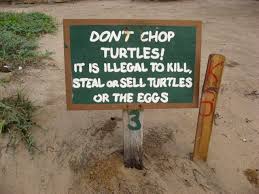 They can actually bring harmful bacteria into your home or business. Companies And Organizations Sustainable Tourism