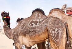 Amazon quiz answers, quiz time: Camel Tattoo