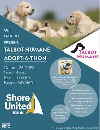 We did not find results for: News Events Page 4 Of 19 Talbot Humane