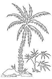Tama janowitz, the american novelist, is a famous bearer of this name. Palm Tree Nature Printable Coloring Pages