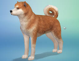 Cats & dogs expansion, i'm not only going to get one, i'm going to create one.in addition to dogs and cats, the expansion has raccoons. Review The Sims 4 Cats Dogs Pc Digitally Downloaded
