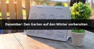 Erleben sie mit uns die neue. Gartenhaus Anlegen Dein Ratgeber Vom Fundament Bis Zur Dekoration Rasenkante Aus Metall Direkt Vom Hersteller