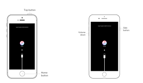 To do this, press and hold the home button for a few seconds. 5 Ways To Unlock Iphone Without Passcode 2021 Updated