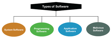 These types of computer software allow an the software can be categorized based on the function they perform such as application software, system software, programming software, and. Software Definition Javatpoint